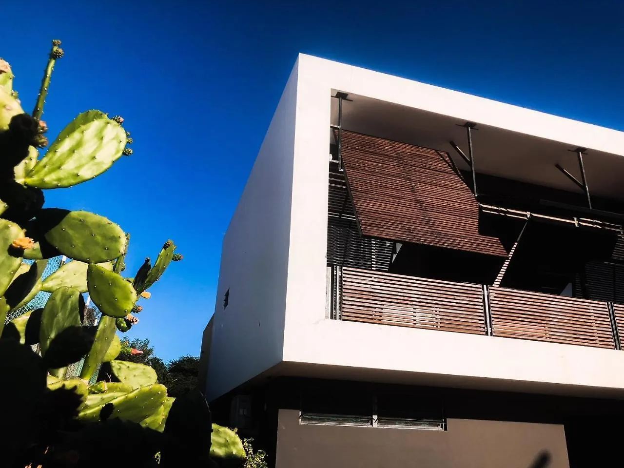 Villa Contour Willemstad